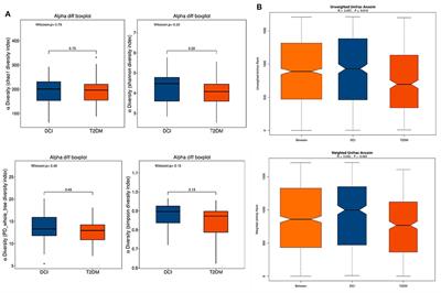 Association of gut microbiota with sort-chain fatty acids and inflammatory cytokines in diabetic patients with cognitive impairment: A cross-sectional, non-controlled study